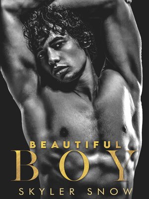 cover image of Beautiful Boy
